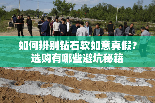 如何辨别钻石软如意真假？选购有哪些避坑秘籍